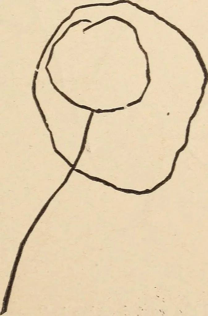 An illustration from Mind-reading and beyond, 1885, leaf 96