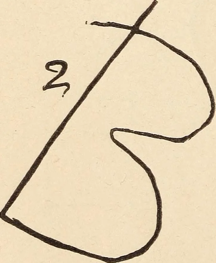 An illustration from Mind-reading and beyond, 1885, leaf 97
