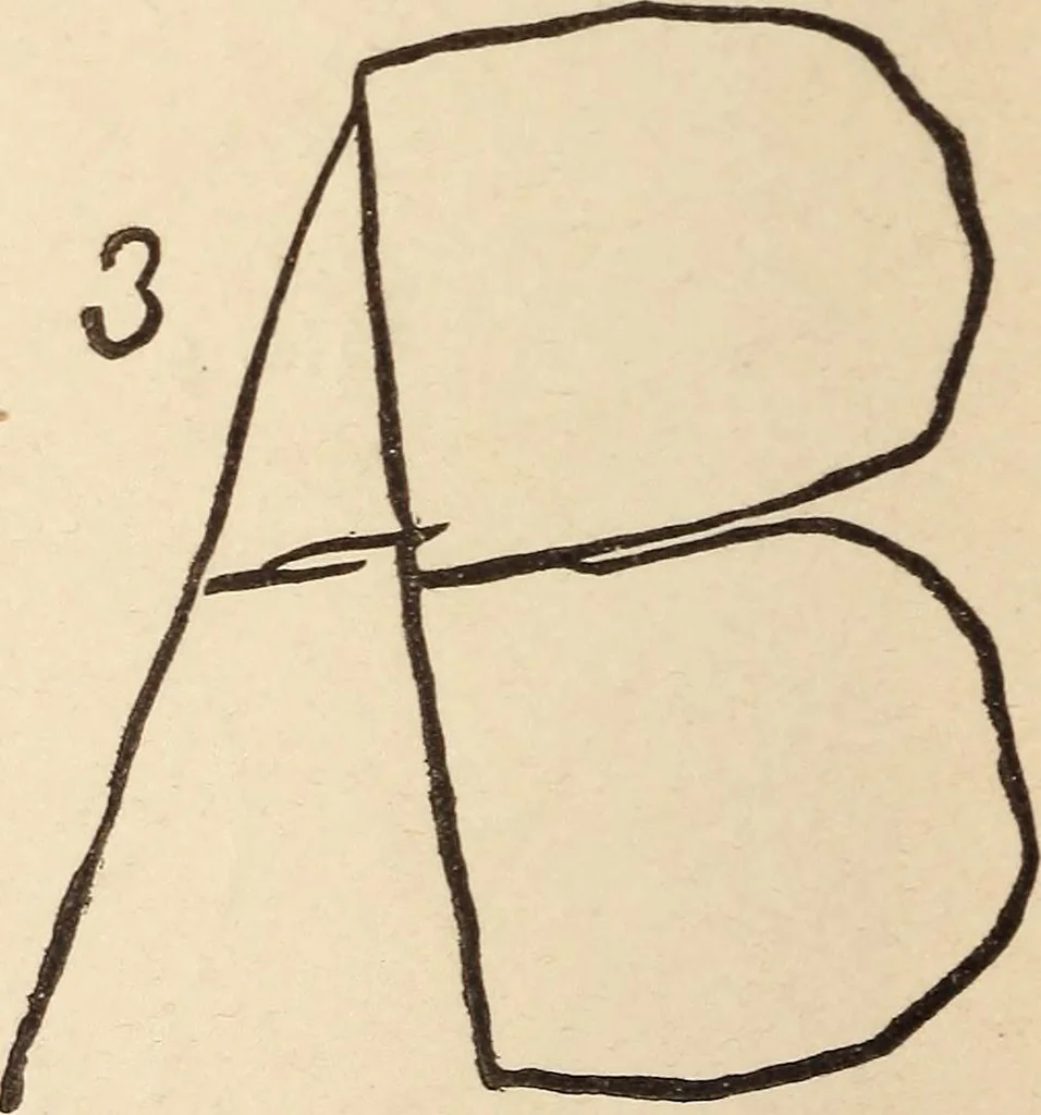 An illustration from Mind-reading and beyond, 1885, leaf 97
