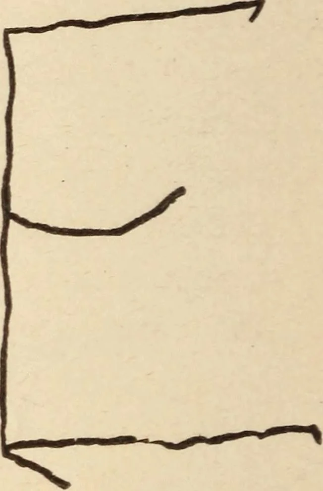 An illustration from Mind-reading and beyond, 1885, leaf 99