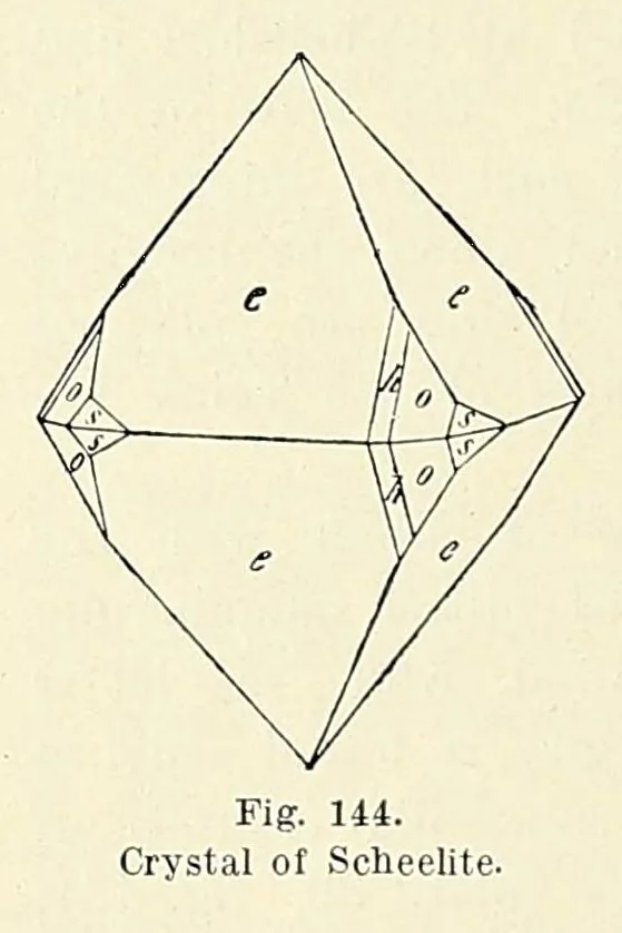 An illustration from The mineral kingdom, 1912, leaf 194
