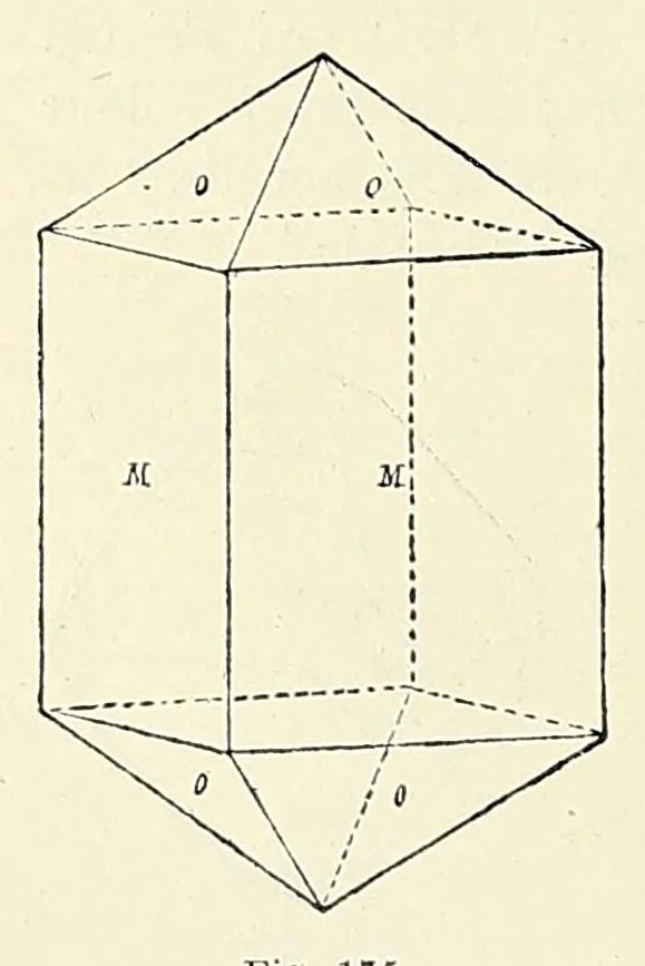 An illustration from The mineral kingdom, 1912, leaf 242