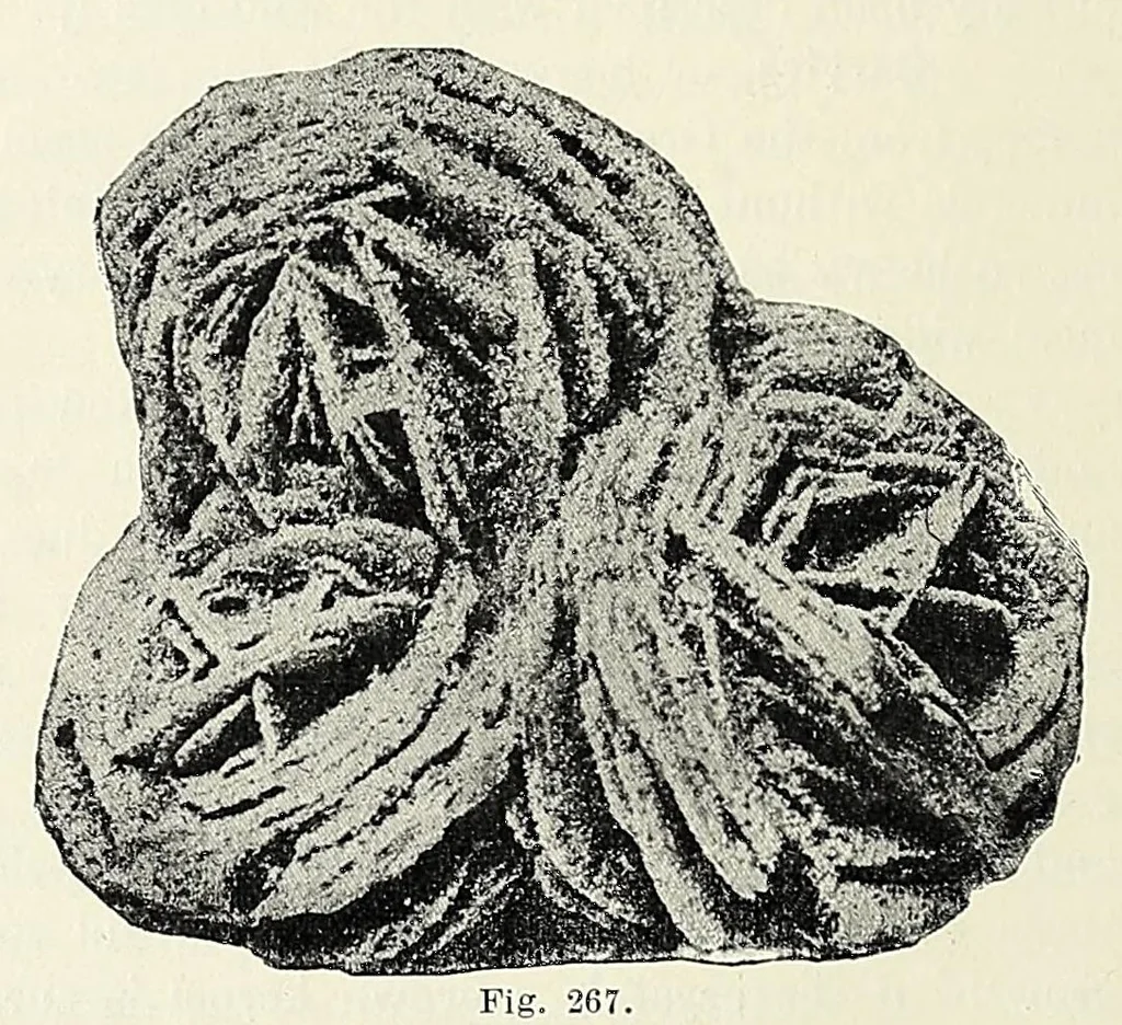 An illustration from The mineral kingdom, 1912, leaf 412