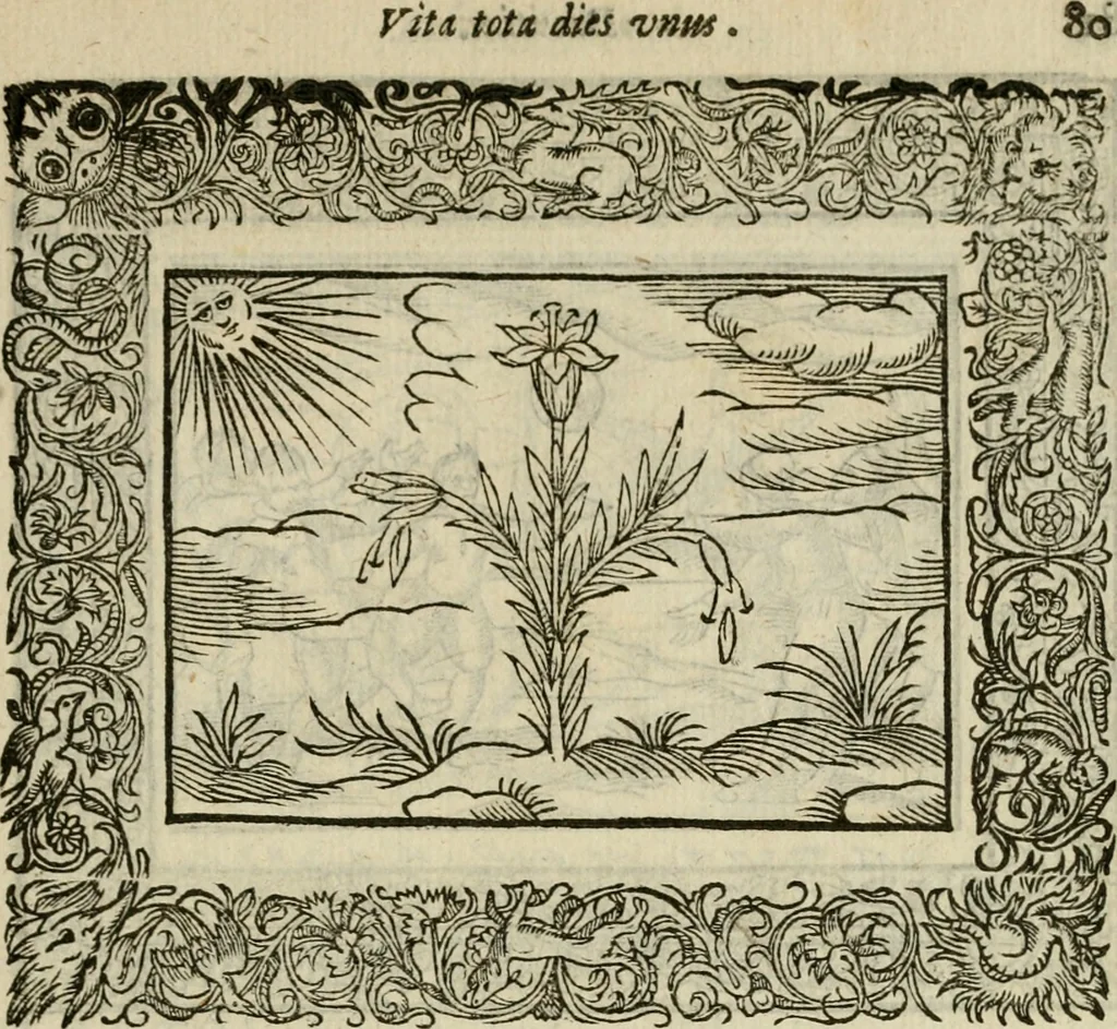 An illustration from Minerua Britanna, or, A garden of heroical deuises, furnished, and adorned with emblemes and impresa's of sundry natures : newly devised, moralized, and published, 1612, leaf 100