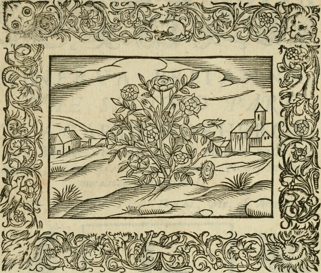 An illustration from Minerua Britanna, or, A garden of heroical deuises, furnished, and adorned with emblemes and impresa's of sundry natures : newly devised, moralized, and published, 1612, leaf 120