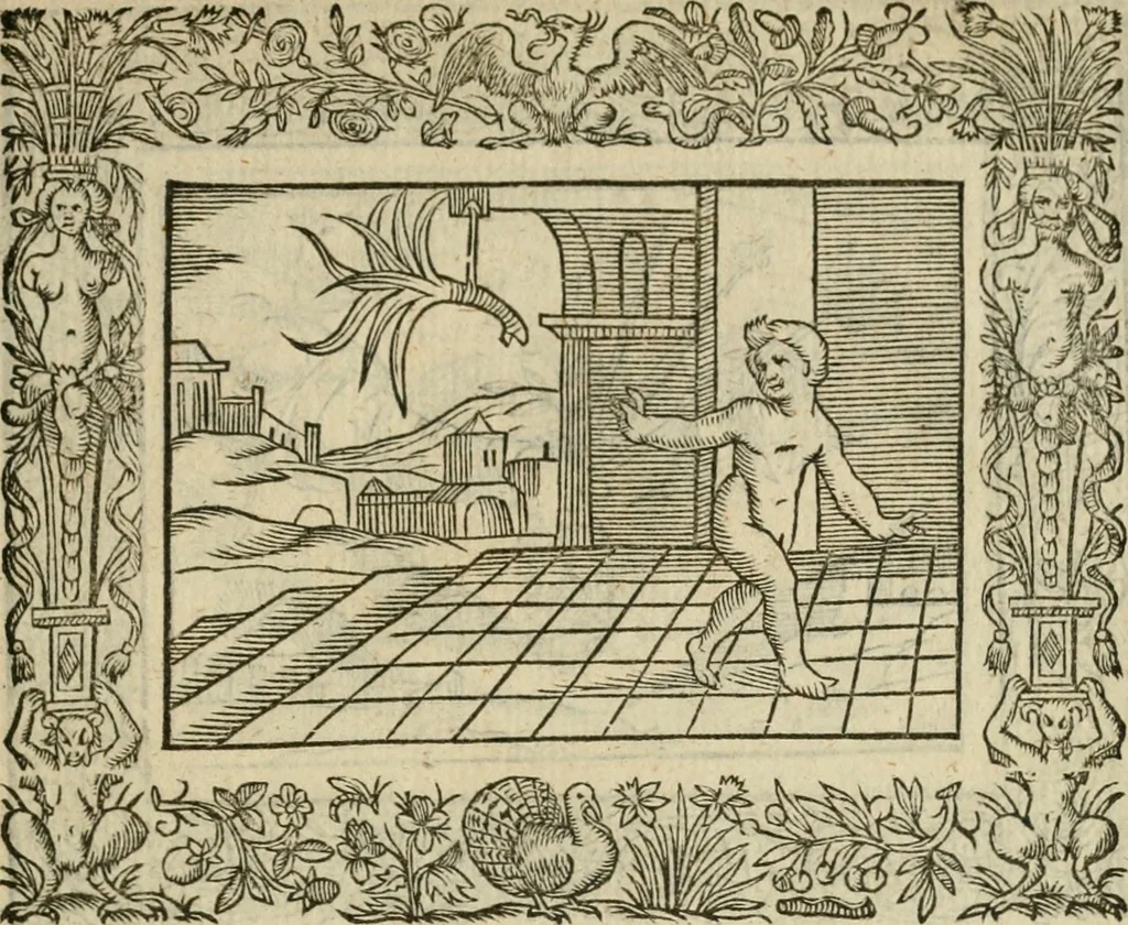 An illustration from Minerua Britanna, or, A garden of heroical deuises, furnished, and adorned with emblemes and impresa's of sundry natures : newly devised, moralized, and published, 1612, leaf 144