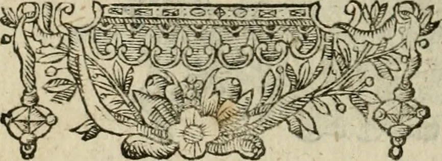 An illustration from Minerua Britanna, or, A garden of heroical deuises, furnished, and adorned with emblemes and impresa's of sundry natures : newly devised, moralized, and published, 1612, leaf 145