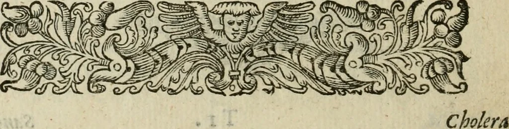 An illustration from Minerua Britanna, or, A garden of heroical deuises, furnished, and adorned with emblemes and impresa's of sundry natures : newly devised, moralized, and published, 1612, leaf 151