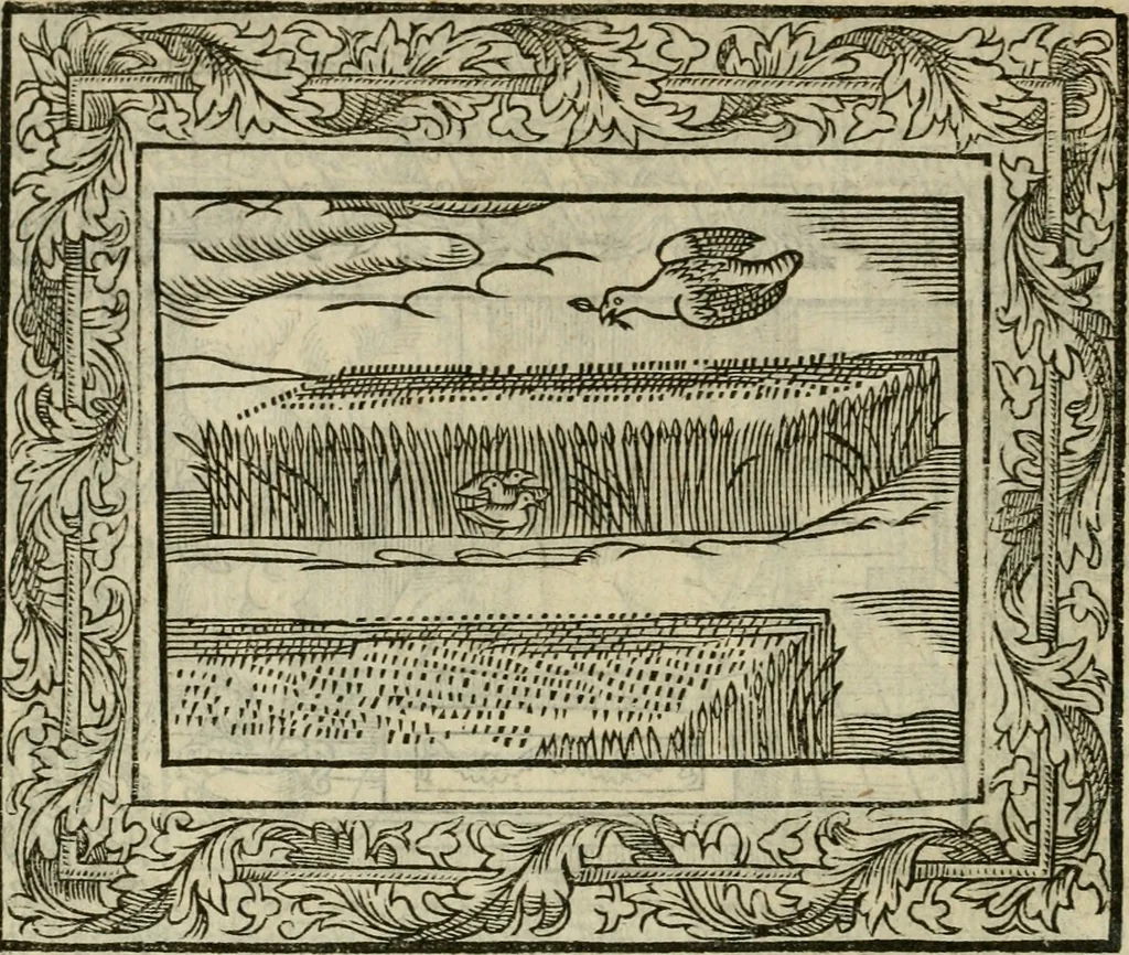 An illustration from Minerua Britanna, or, A garden of heroical deuises, furnished, and adorned with emblemes and impresa's of sundry natures : newly devised, moralized, and published, 1612, leaf 155