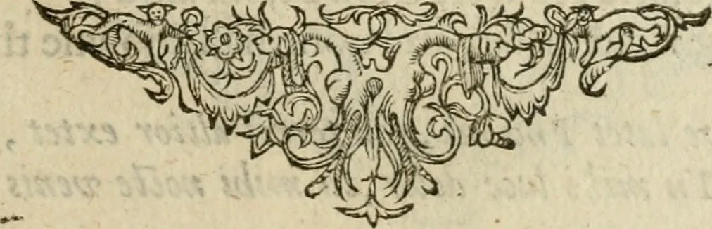 An illustration from Minerua Britanna, or, A garden of heroical deuises, furnished, and adorned with emblemes and impresa's of sundry natures : newly devised, moralized, and published, 1612, leaf 156