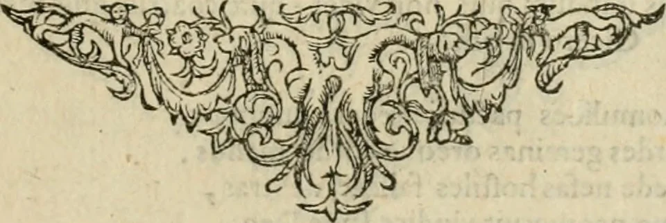 An illustration from Minerua Britanna, or, A garden of heroical deuises, furnished, and adorned with emblemes and impresa's of sundry natures : newly devised, moralized, and published, 1612, leaf 158