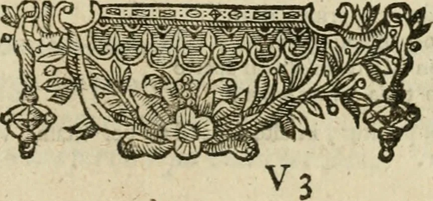 An illustration from Minerua Britanna, or, A garden of heroical deuises, furnished, and adorned with emblemes and impresa's of sundry natures : newly devised, moralized, and published, 1612, leaf 162