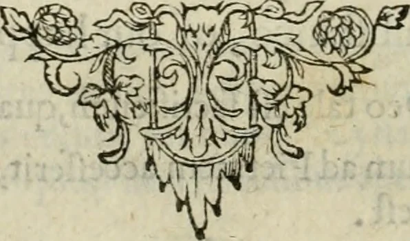 An illustration from Minerua Britanna, or, A garden of heroical deuises, furnished, and adorned with emblemes and impresa's of sundry natures : newly devised, moralized, and published, 1612, leaf 195