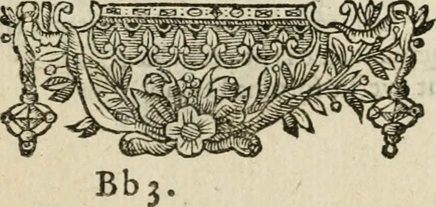 An illustration from Minerua Britanna, or, A garden of heroical deuises, furnished, and adorned with emblemes and impresa's of sundry natures : newly devised, moralized, and published, 1612, leaf 202