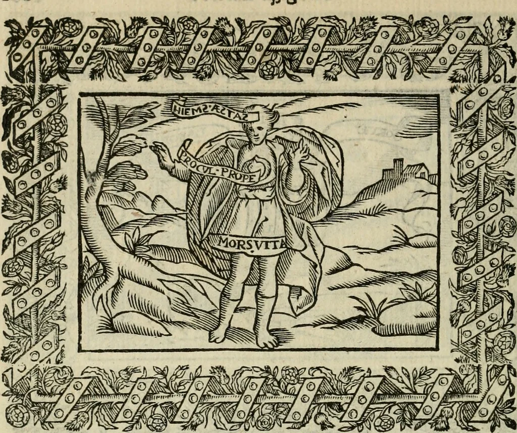 An illustration from Minerua Britanna, or, A garden of heroical deuises, furnished, and adorned with emblemes and impresa's of sundry natures : newly devised, moralized, and published, 1612, leaf 205