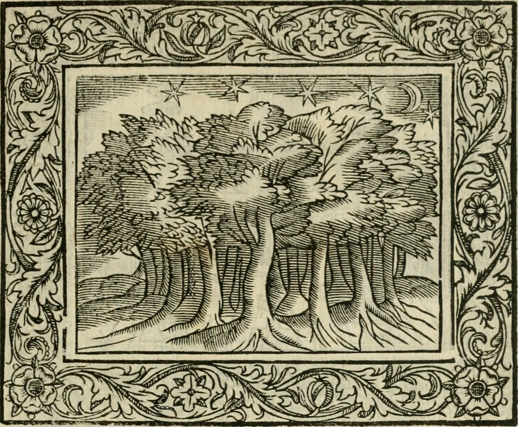 An illustration from Minerua Britanna, or, A garden of heroical deuises, furnished, and adorned with emblemes and impresa's of sundry natures : newly devised, moralized, and published, 1612, leaf 206