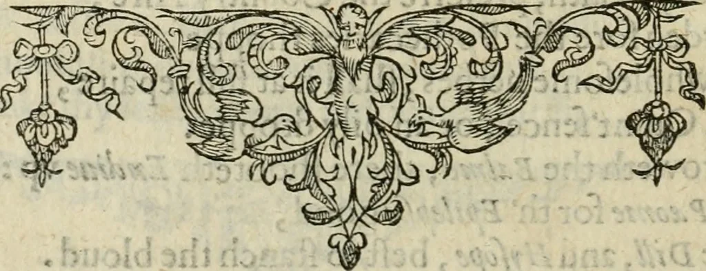 An illustration from Minerua Britanna, or, A garden of heroical deuises, furnished, and adorned with emblemes and impresa's of sundry natures : newly devised, moralized, and published, 1612, leaf 211