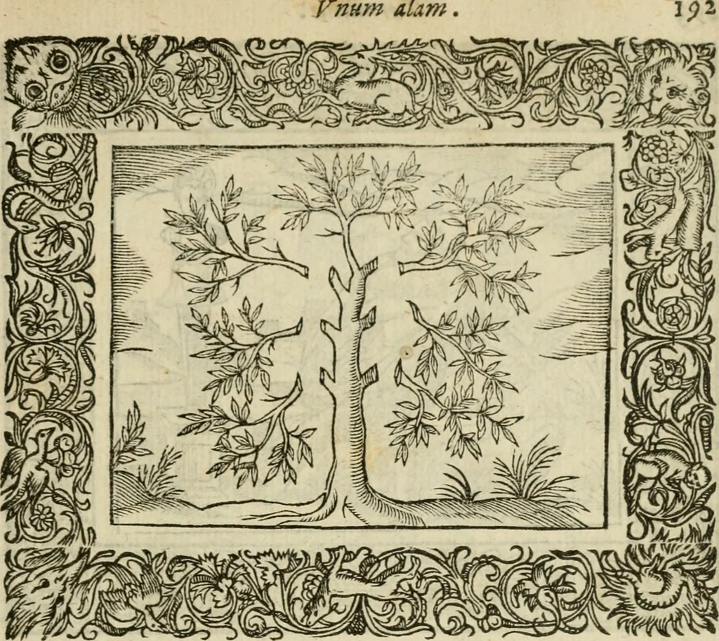 An illustration from Minerua Britanna, or, A garden of heroical deuises, furnished, and adorned with emblemes and impresa's of sundry natures : newly devised, moralized, and published, 1612, leaf 216