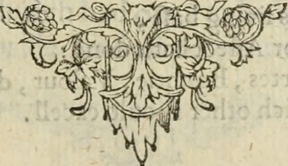 An illustration from Minerua Britanna, or, A garden of heroical deuises, furnished, and adorned with emblemes and impresa's of sundry natures : newly devised, moralized, and published, 1612, leaf 222