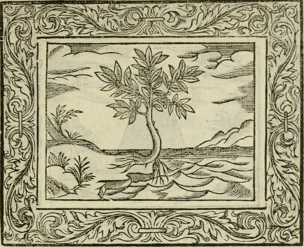 An illustration from Minerua Britanna, or, A garden of heroical deuises, furnished, and adorned with emblemes and impresa's of sundry natures : newly devised, moralized, and published, 1612, leaf 224