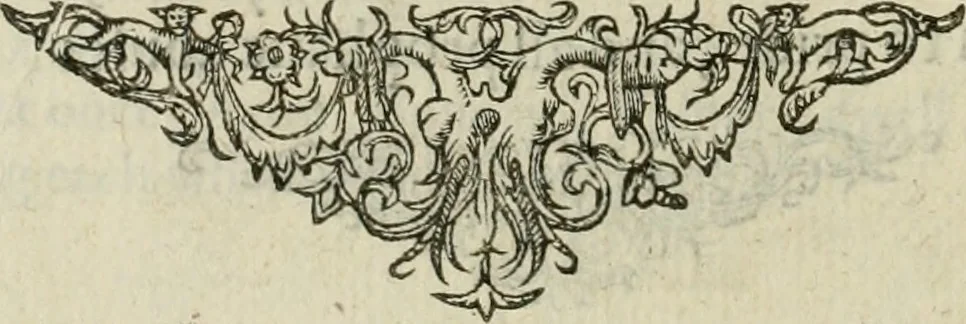 An illustration from Minerua Britanna, or, A garden of heroical deuises, furnished, and adorned with emblemes and impresa's of sundry natures : newly devised, moralized, and published, 1612, leaf 225