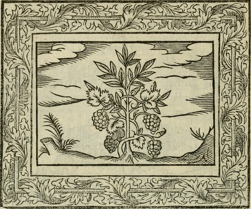 An illustration from Minerua Britanna, or, A garden of heroical deuises, furnished, and adorned with emblemes and impresa's of sundry natures : newly devised, moralized, and published, 1612, leaf 59