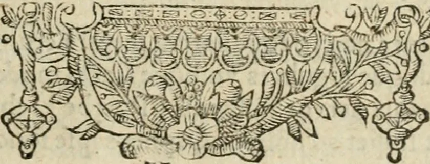 An illustration from Minerua Britanna, or, A garden of heroical deuises, furnished, and adorned with emblemes and impresa's of sundry natures : newly devised, moralized, and published, 1612, leaf 64