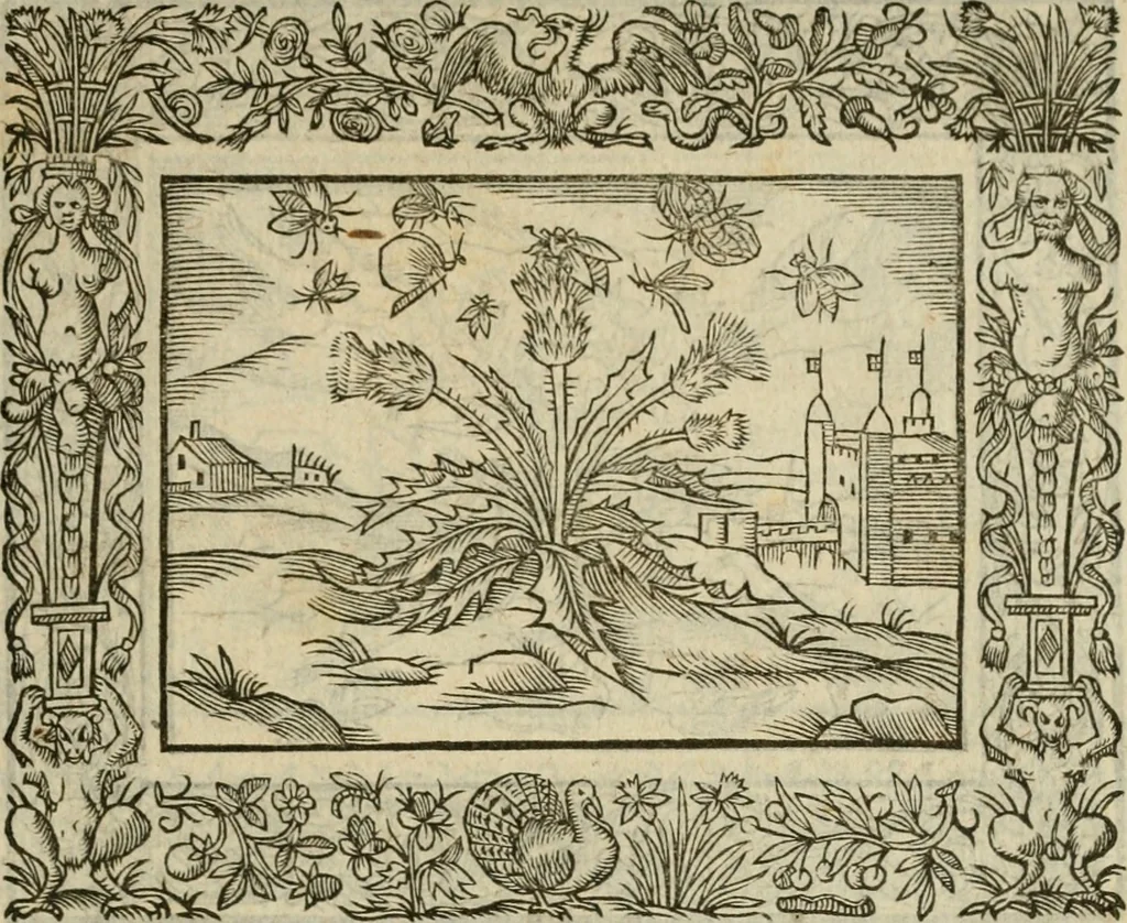 An illustration from Minerua Britanna, or, A garden of heroical deuises, furnished, and adorned with emblemes and impresa's of sundry natures : newly devised, moralized, and published, 1612, leaf 70