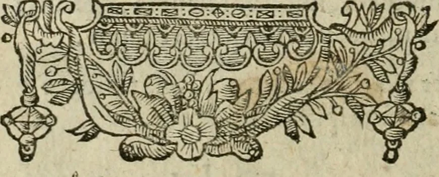 An illustration from Minerua Britanna, or, A garden of heroical deuises, furnished, and adorned with emblemes and impresa's of sundry natures : newly devised, moralized, and published, 1612, leaf 79