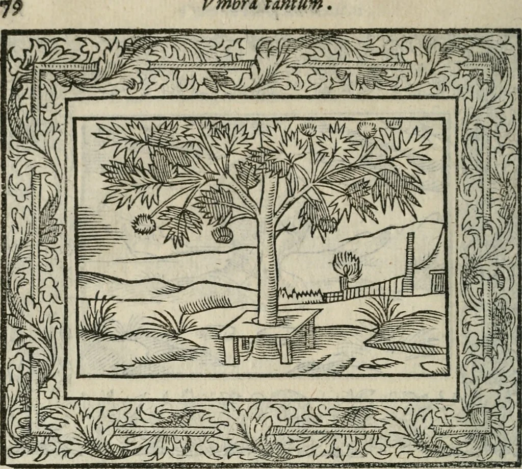 An illustration from Minerua Britanna, or, A garden of heroical deuises, furnished, and adorned with emblemes and impresa's of sundry natures,, 1612, leaf 105