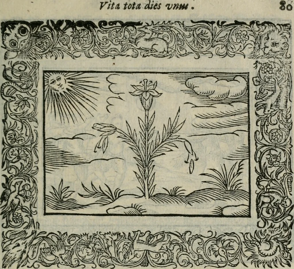 An illustration from Minerua Britanna, or, A garden of heroical deuises, furnished, and adorned with emblemes and impresa's of sundry natures,, 1612, leaf 106