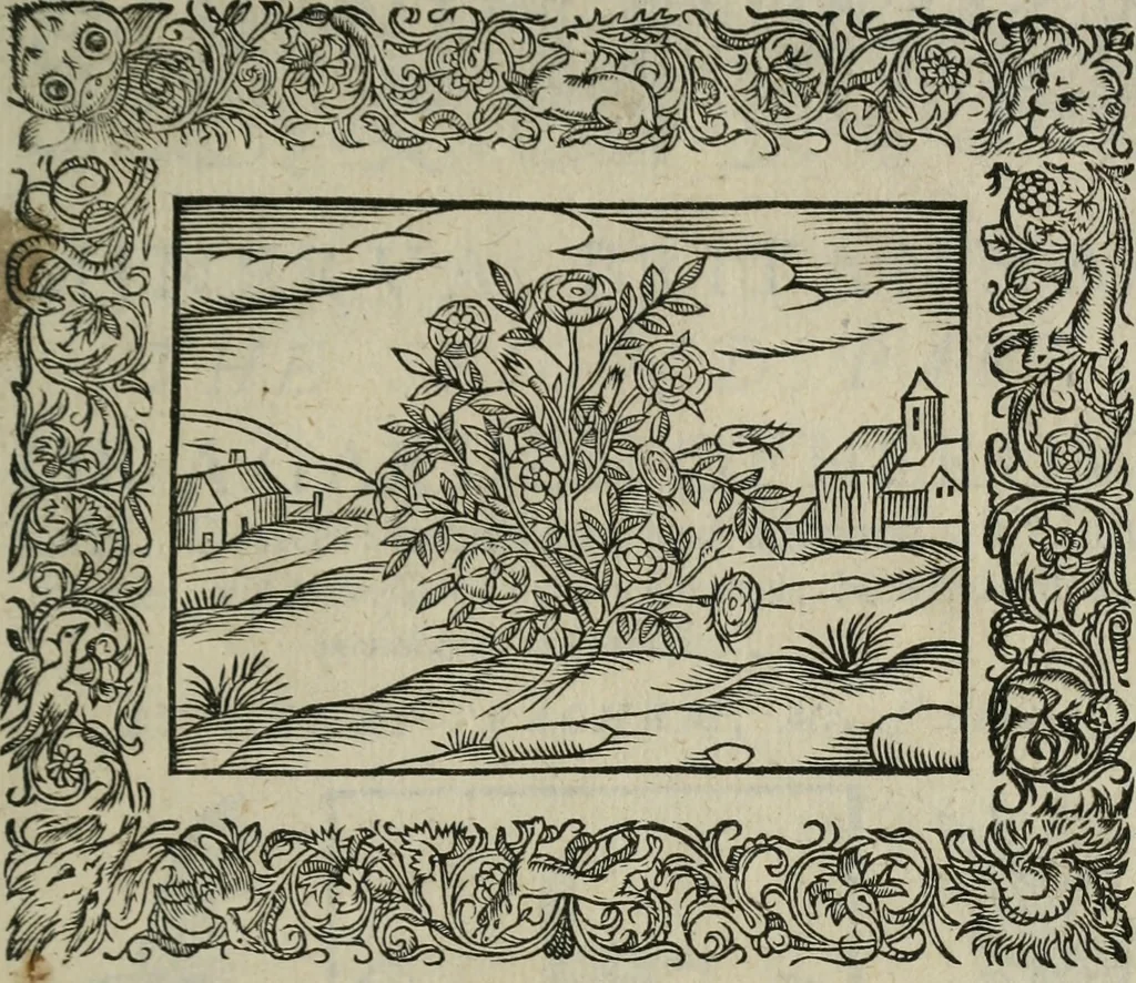 An illustration from Minerua Britanna, or, A garden of heroical deuises, furnished, and adorned with emblemes and impresa's of sundry natures,, 1612, leaf 126