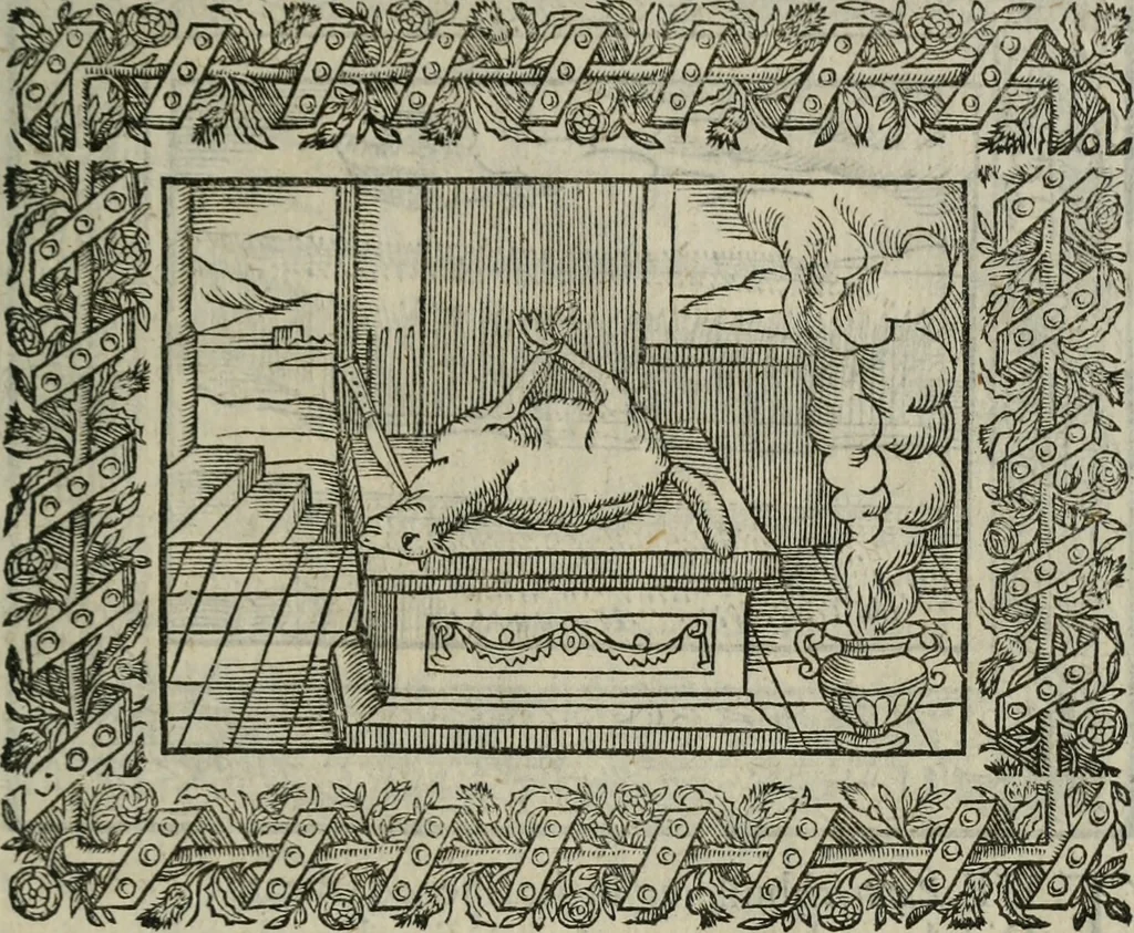An illustration from Minerua Britanna, or, A garden of heroical deuises, furnished, and adorned with emblemes and impresa's of sundry natures,, 1612, leaf 160