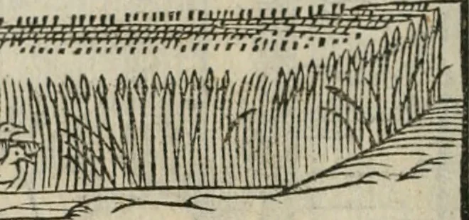 An illustration from Minerua Britanna, or, A garden of heroical deuises, furnished, and adorned with emblemes and impresa's of sundry natures,, 1612, leaf 161