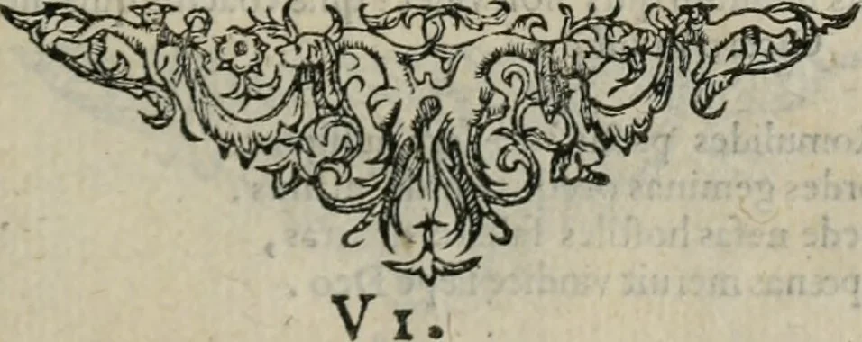 An illustration from Minerua Britanna, or, A garden of heroical deuises, furnished, and adorned with emblemes and impresa's of sundry natures,, 1612, leaf 164