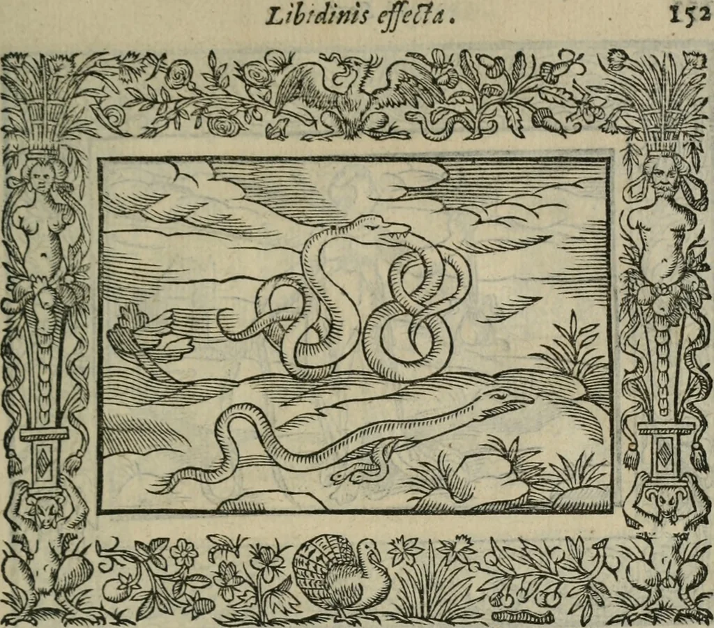 An illustration from Minerua Britanna, or, A garden of heroical deuises, furnished, and adorned with emblemes and impresa's of sundry natures,, 1612, leaf 182