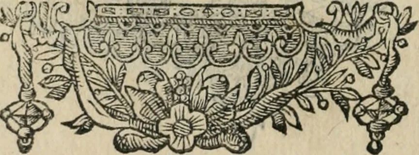 An illustration from Minerua Britanna, or, A garden of heroical deuises, furnished, and adorned with emblemes and impresa's of sundry natures,, 1612, leaf 195