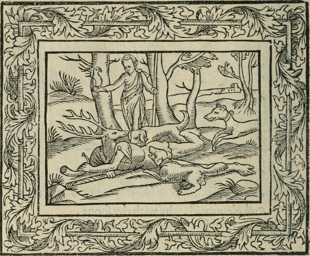 An illustration from Minerua Britanna, or, A garden of heroical deuises, furnished, and adorned with emblemes and impresa's of sundry natures,, 1612, leaf 205
