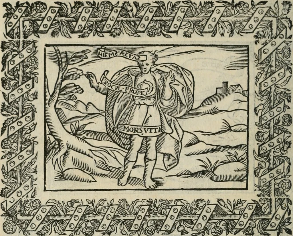 An illustration from Minerua Britanna, or, A garden of heroical deuises, furnished, and adorned with emblemes and impresa's of sundry natures,, 1612, leaf 211