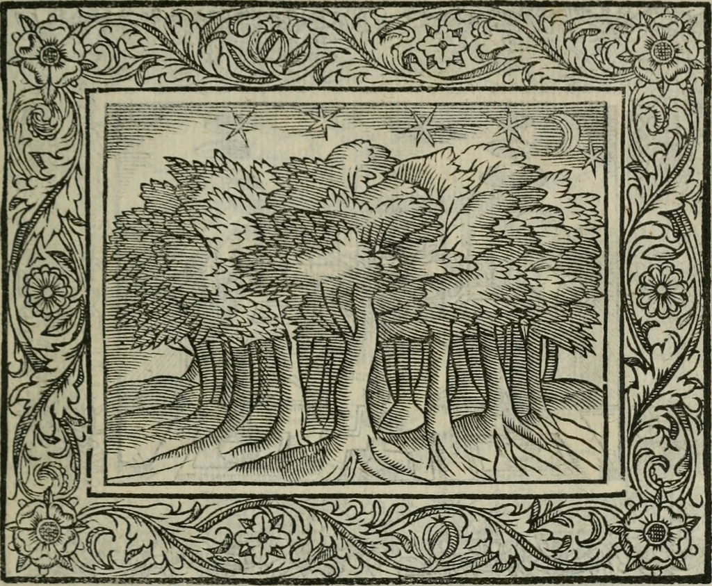 An illustration from Minerua Britanna, or, A garden of heroical deuises, furnished, and adorned with emblemes and impresa's of sundry natures,, 1612, leaf 212