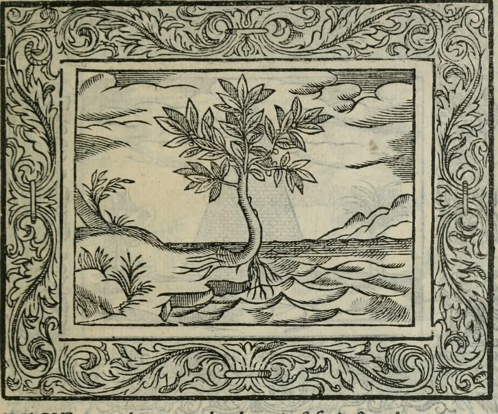 An illustration from Minerua Britanna, or, A garden of heroical deuises, furnished, and adorned with emblemes and impresa's of sundry natures,, 1612, leaf 230