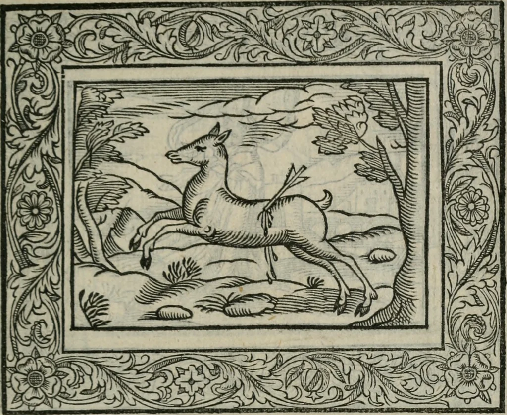 An illustration from Minerua Britanna, or, A garden of heroical deuises, furnished, and adorned with emblemes and impresa's of sundry natures,, 1612, leaf 30