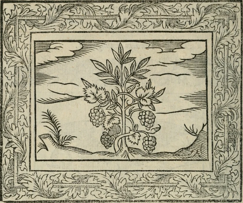 An illustration from Minerua Britanna, or, A garden of heroical deuises, furnished, and adorned with emblemes and impresa's of sundry natures,, 1612, leaf 65