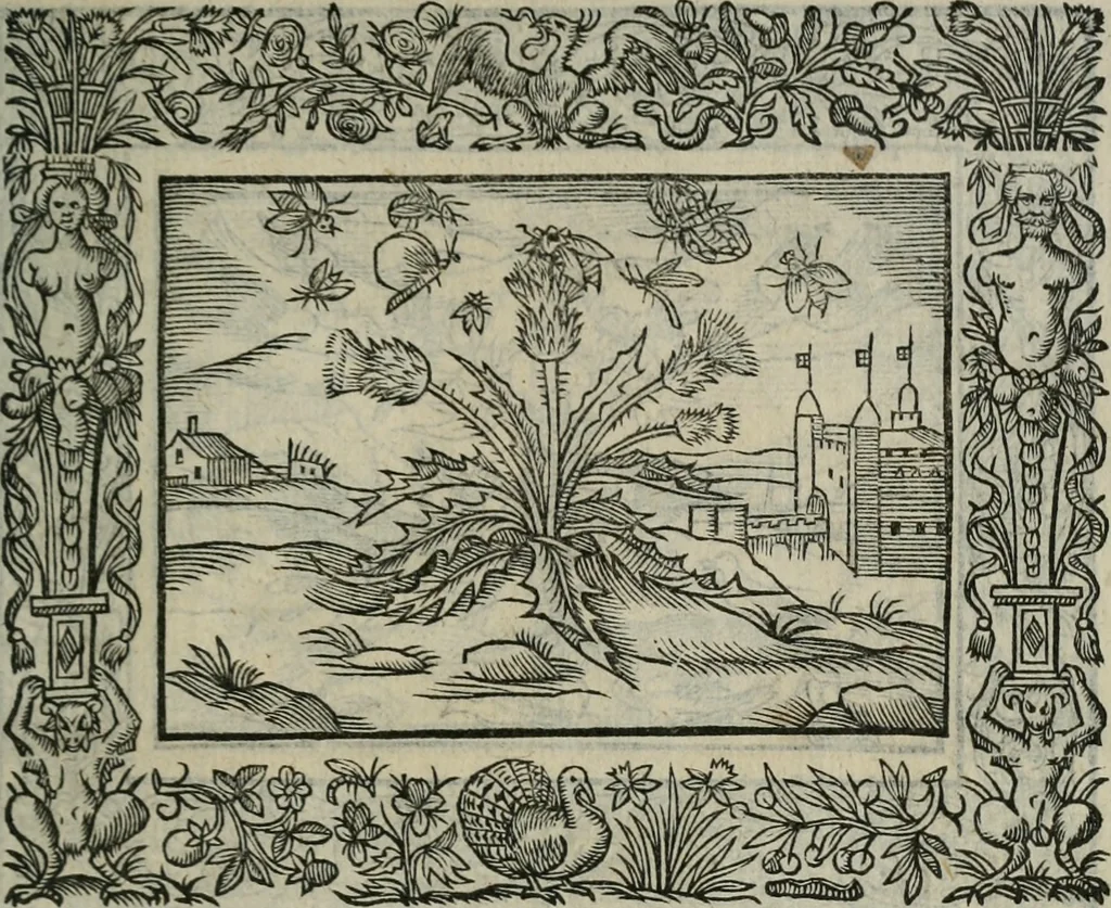 An illustration from Minerua Britanna, or, A garden of heroical deuises, furnished, and adorned with emblemes and impresa's of sundry natures,, 1612, leaf 76
