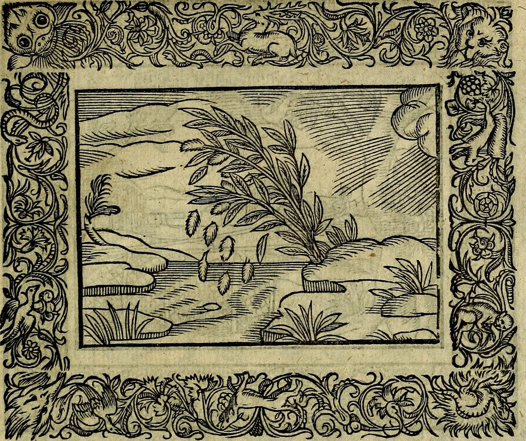 An illustration from Minerva Britanna Or A Garden Of Heroical Deuises, furnished, and adorned with Emblemes and Impresa's of sundry natures, 1612, leaf 104