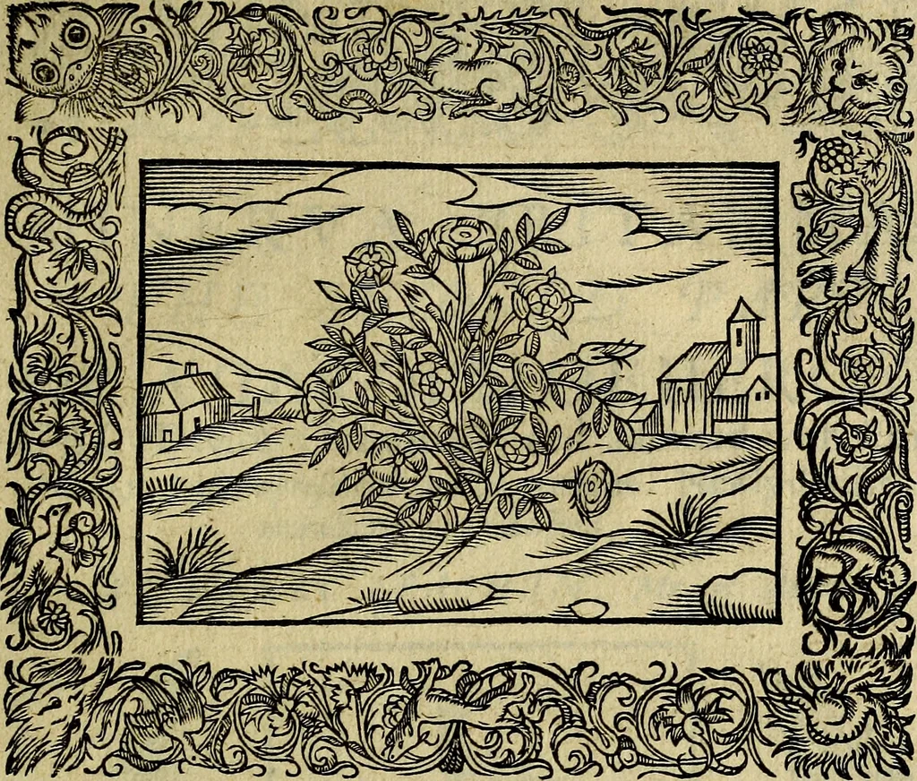 An illustration from Minerva Britanna Or A Garden Of Heroical Deuises, furnished, and adorned with Emblemes and Impresa's of sundry natures, 1612, leaf 120