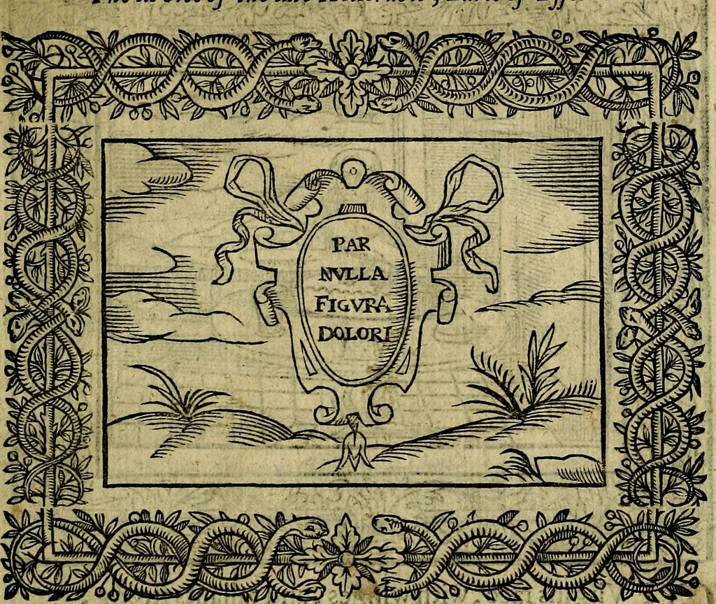 An illustration from Minerva Britanna Or A Garden Of Heroical Deuises, furnished, and adorned with Emblemes and Impresa's of sundry natures, 1612, leaf 138