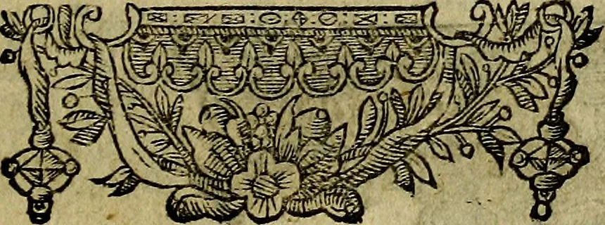 An illustration from Minerva Britanna Or A Garden Of Heroical Deuises, furnished, and adorned with Emblemes and Impresa's of sundry natures, 1612, leaf 144