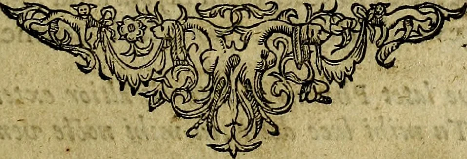 An illustration from Minerva Britanna Or A Garden Of Heroical Deuises, furnished, and adorned with Emblemes and Impresa's of sundry natures, 1612, leaf 156