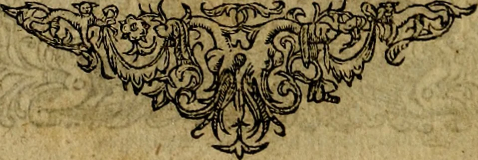 An illustration from Minerva Britanna Or A Garden Of Heroical Deuises, furnished, and adorned with Emblemes and Impresa's of sundry natures, 1612, leaf 171